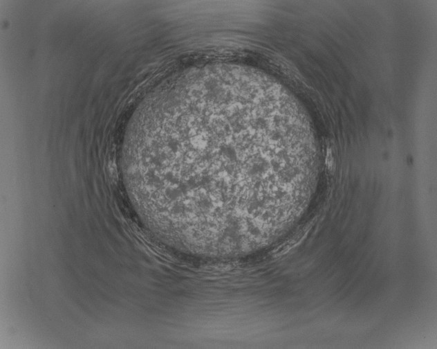 X0000078240771200612011604