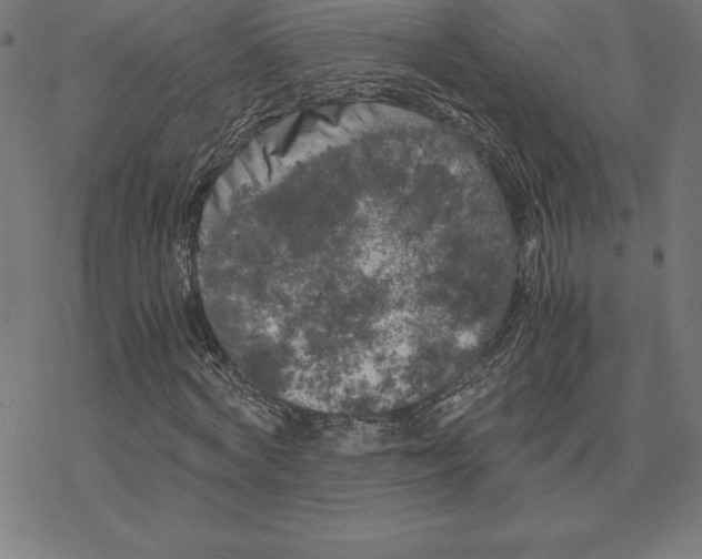 X0000078240772200612011604