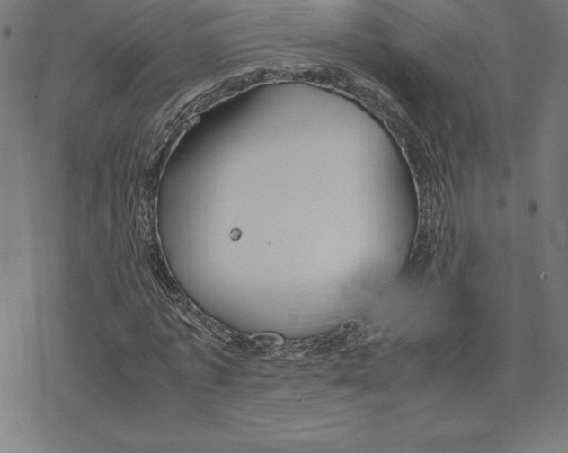 X0000078240773200612011604