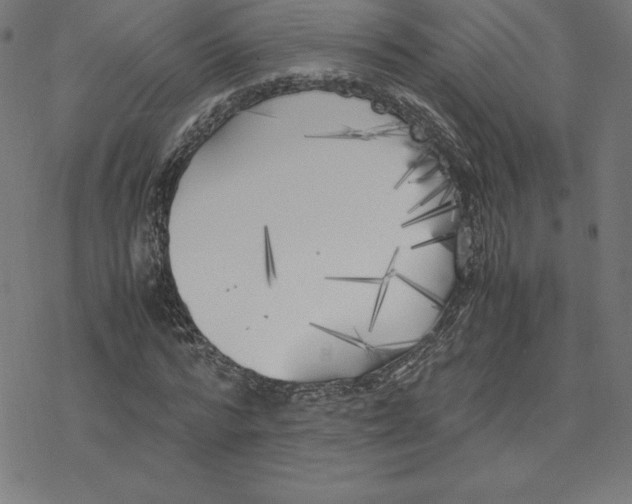 X0000078240776200612011603