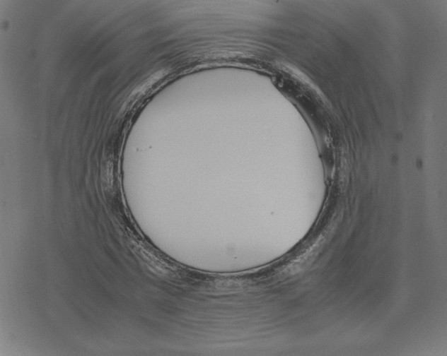 X0000078240777200612011603