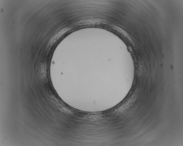 X0000078240778200612011603