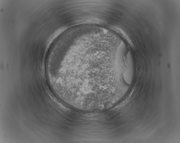 X0000078240780200612011603