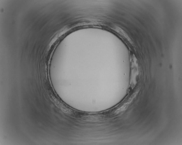 X0000078240781200612011603