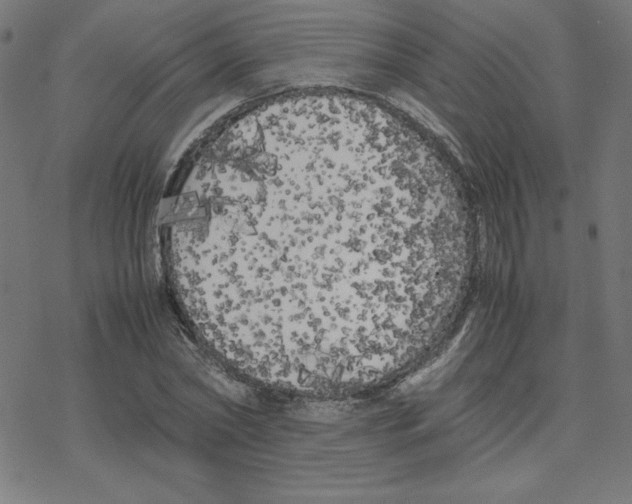 X0000078240782200612011603