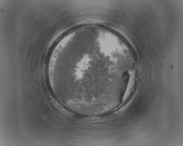 X0000078240783200612011603