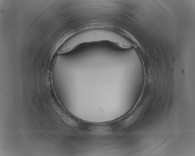 X0000078240786200612011603