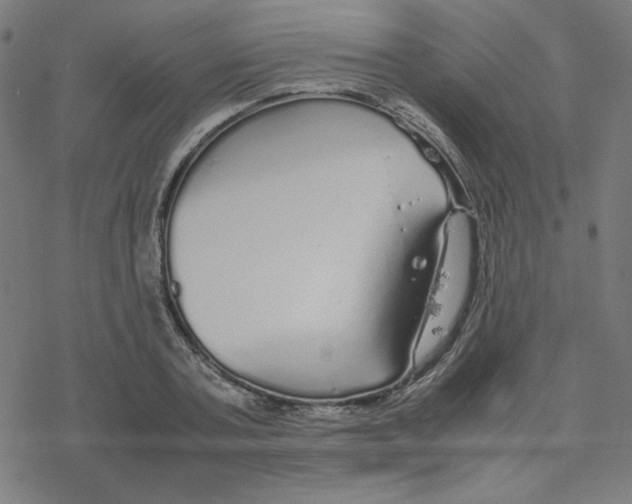 X0000078240787200612011603