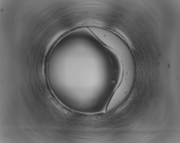 X0000078240788200612011603