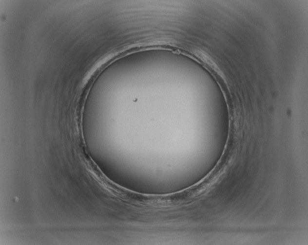 X0000078240789200612011603