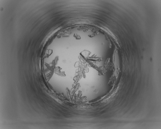 X0000078240790200612011603