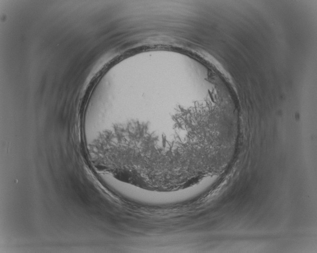 X0000078240791200612011603