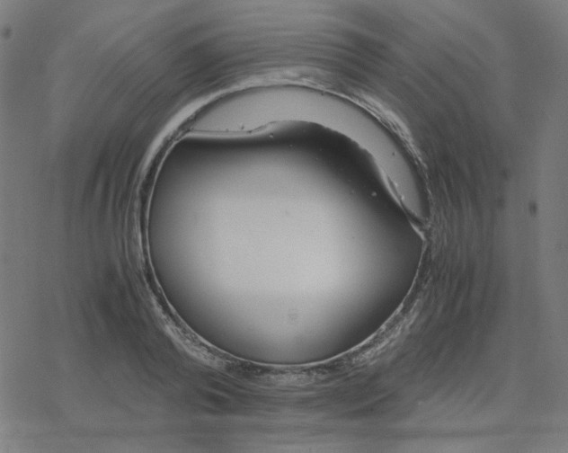 X0000078240792200612011603