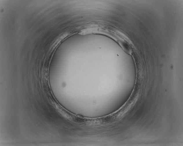 X0000078240793200612011603