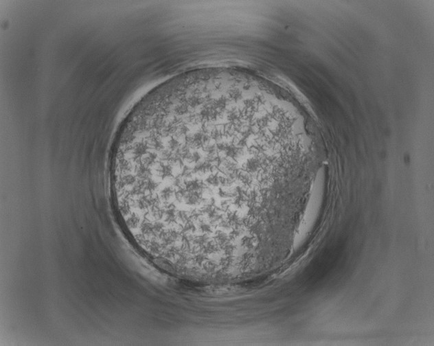 X0000078240795200612011603