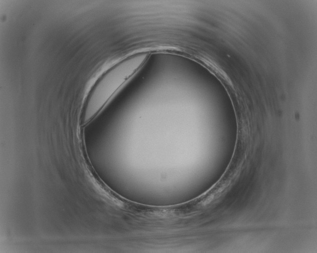 X0000078240797200612011603