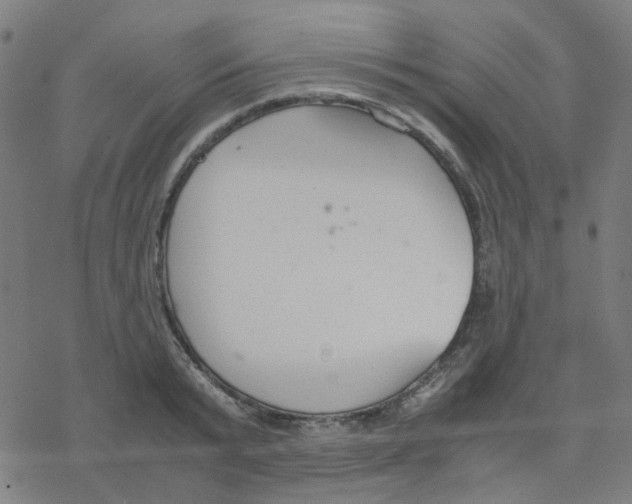 X0000078240799200612011603