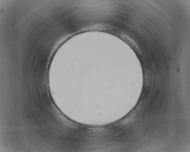 X0000078240800200612011603