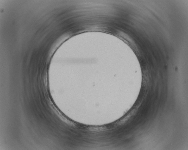 X0000078240804200612011603