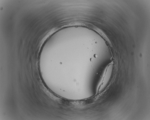 X0000078240805200612011603