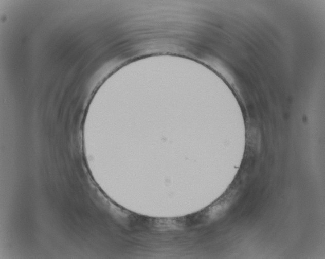 X0000078240807200612011603