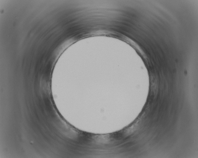 X0000078240810200612011603