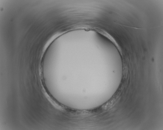 X0000078240811200612011603