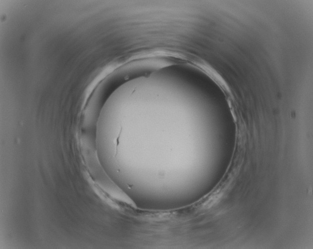 X0000078240813200612011603