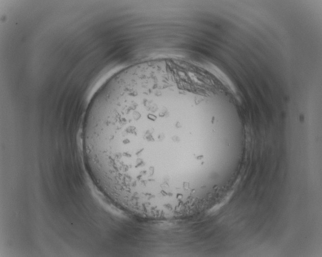 X0000078240814200612011603