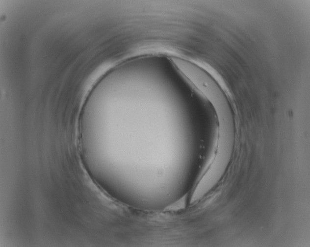 X0000078240815200612011603