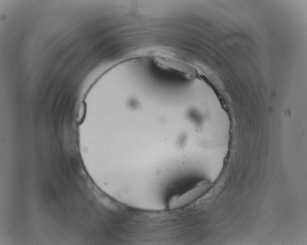 X0000078240816200612011603