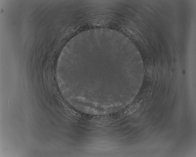 X0000078240817200612011602