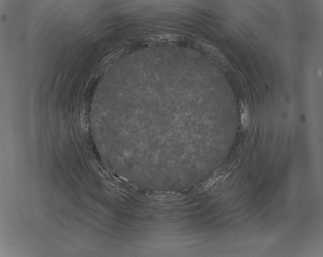 X0000078240819200612011602