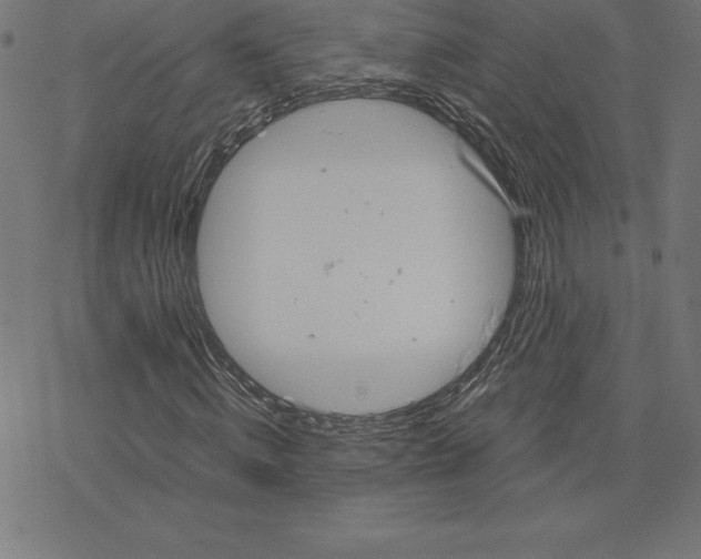 X0000078240820200612011602