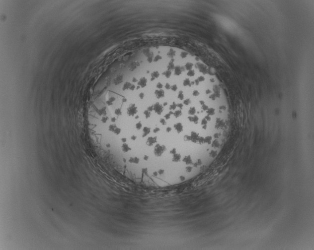 X0000078240821200612011602