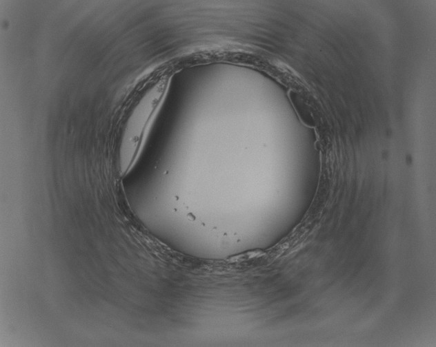 X0000078240822200612011602