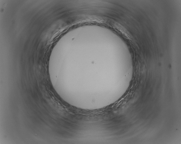 X0000078240824200612011602