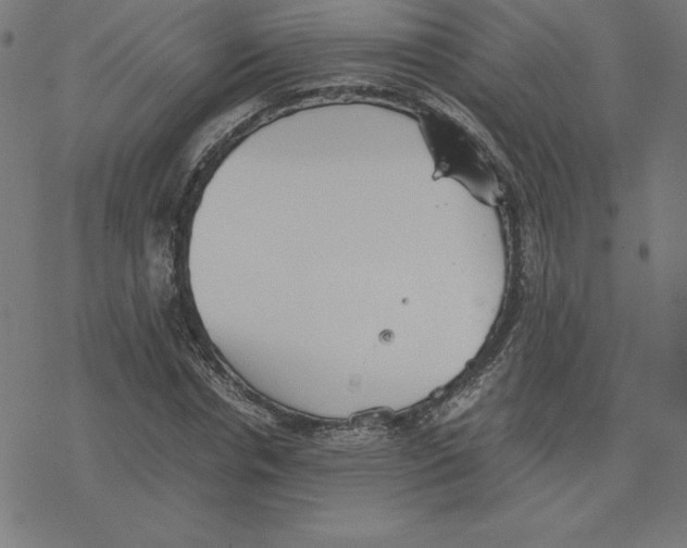 X0000078240826200612011602