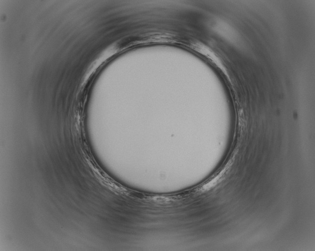 X0000078240827200612011602