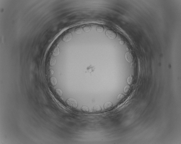 X0000078240828200612011602