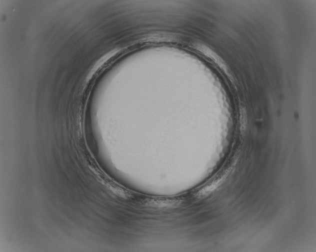 X0000078240829200612011602