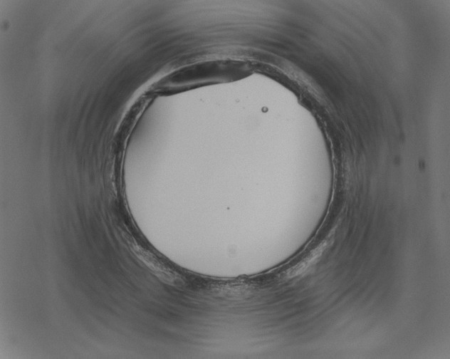 X0000078240830200612011602