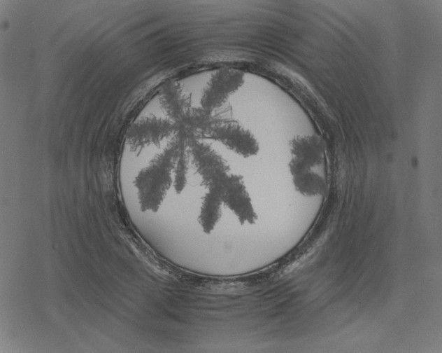 X0000078240833200612011602