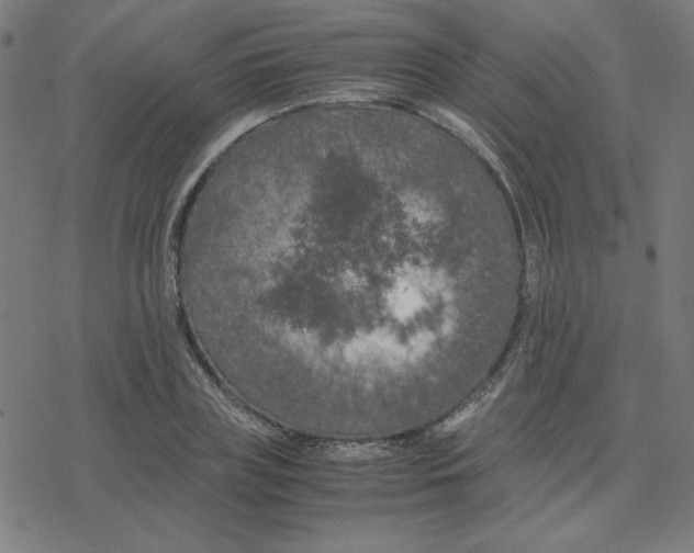 X0000078240835200612011602