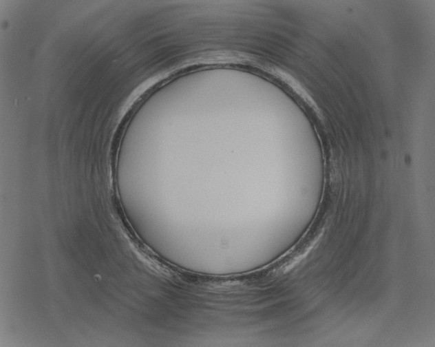 X0000078240837200612011602