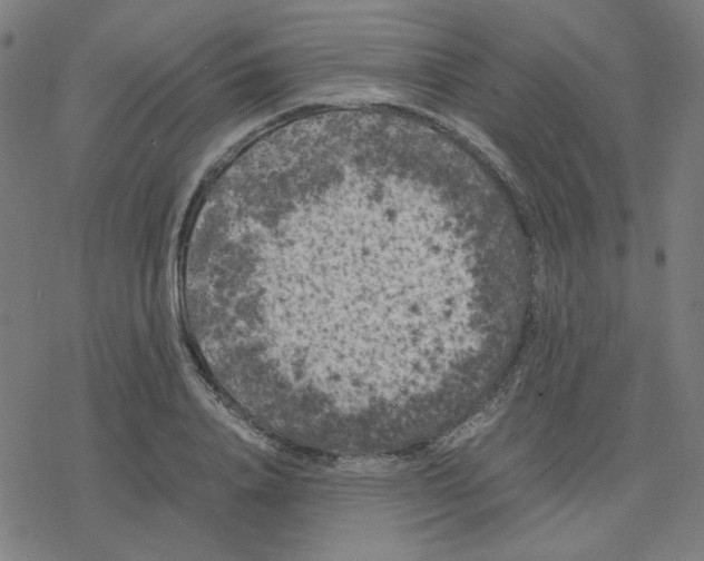 X0000078240840200612011602