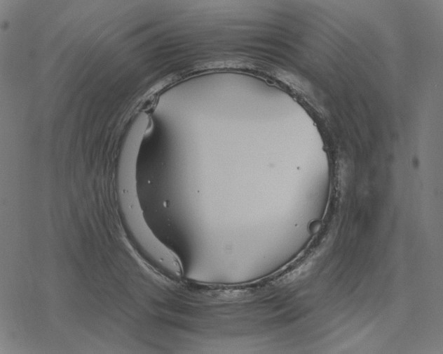 X0000078240841200612011602