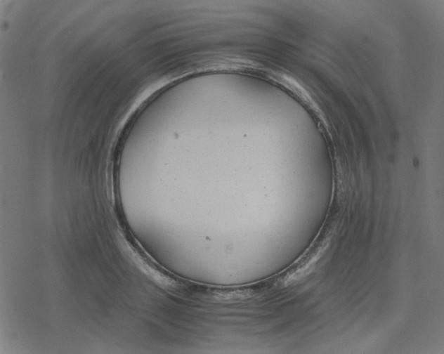 X0000078240843200612011602