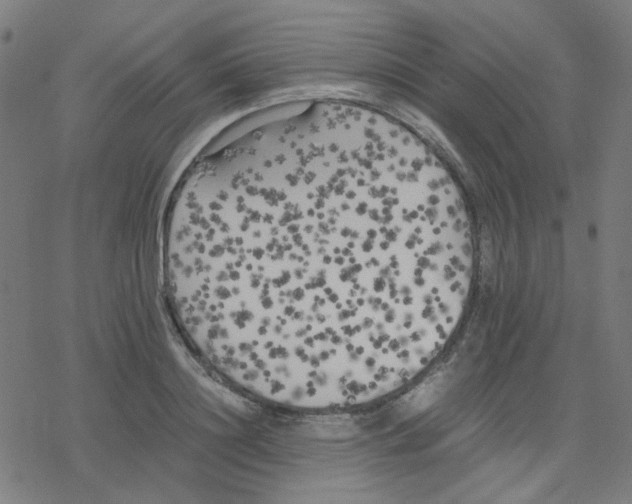 X0000078240844200612011602