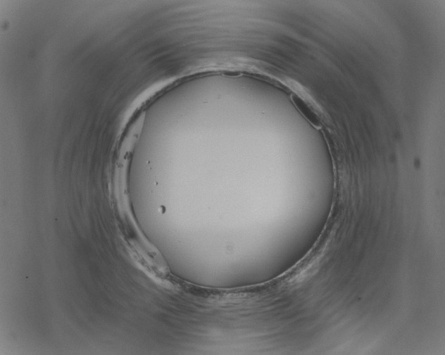 X0000078240846200612011603